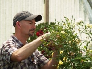 Brad Jalbert in his hybridizing greenhouse on his rose nursery.