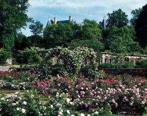 Photo courtesy Biltmore
