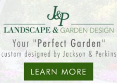 Jackson & Perkins Landscape & Garden Design