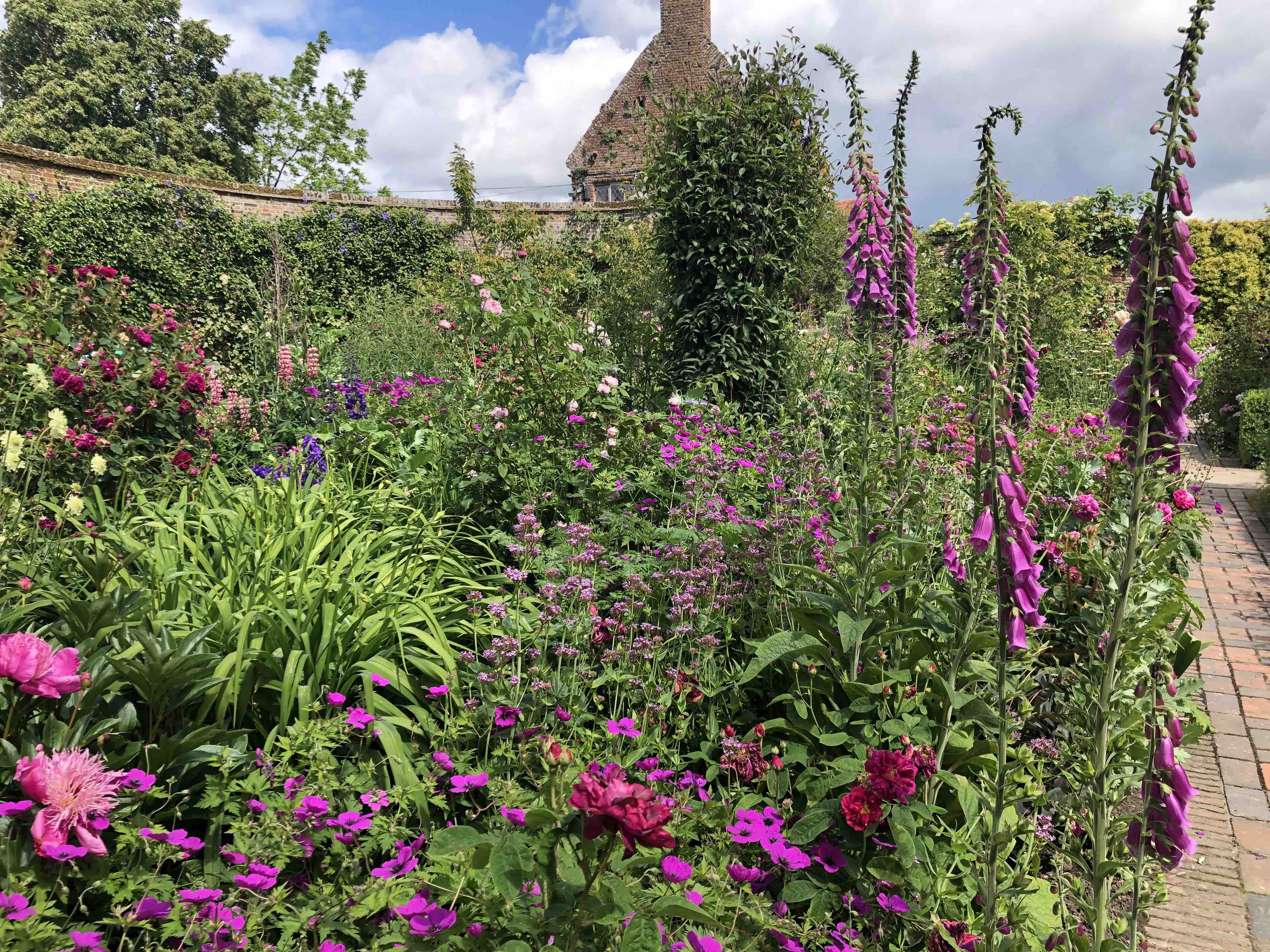 2019 Heritage Rose – Garden Tour – Friends of the Central